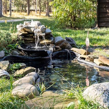 Rustic Cozy Cabin With Hot Tub Bragg Creek Buitenkant foto